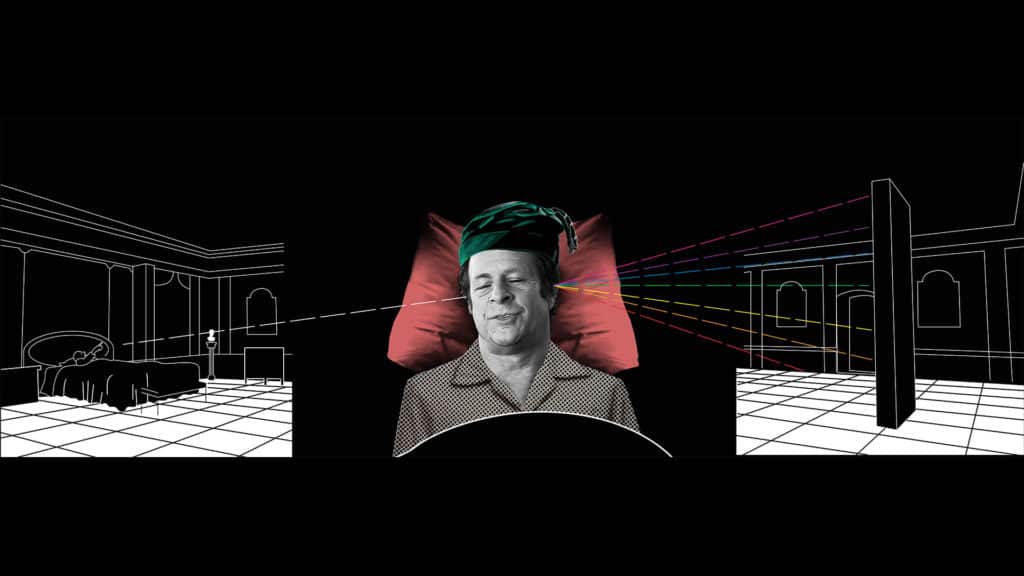 Rick Doblin’s Psychedelic Dreams