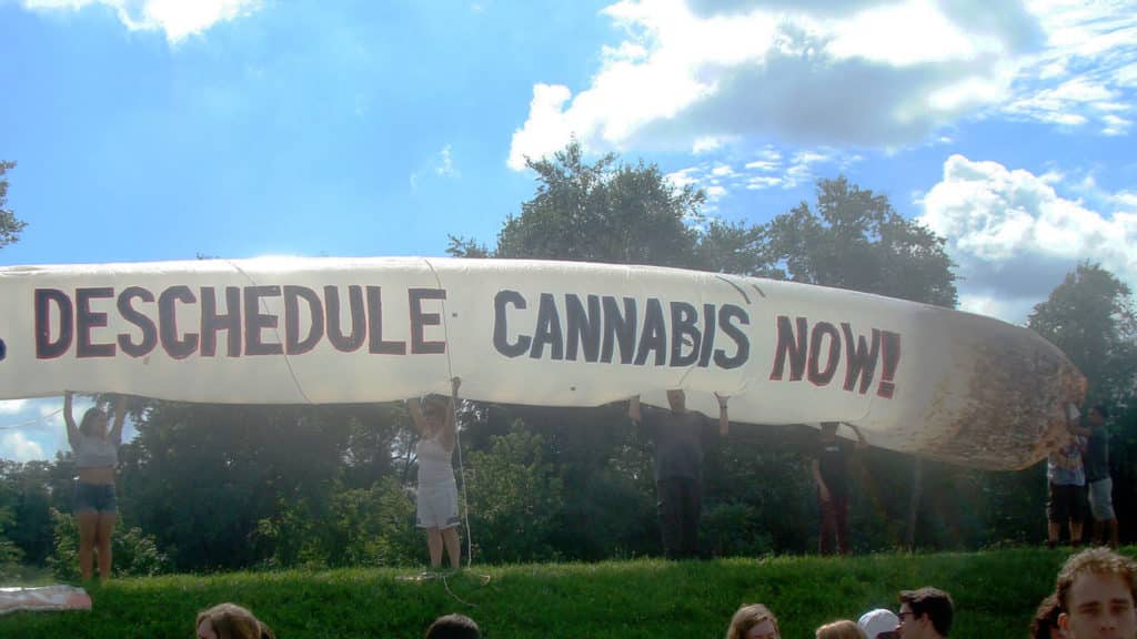 Activists Bring 51-Foot Cannabis Joint to Hillary Clinton