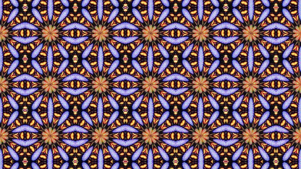 Psychedelics and Social Justice