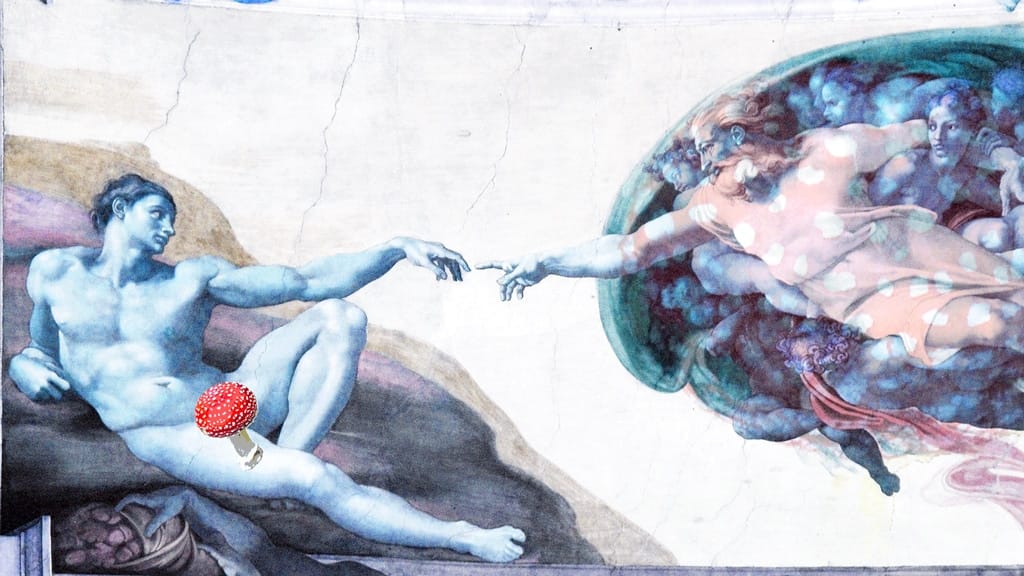 Why Psychedelic History Matters