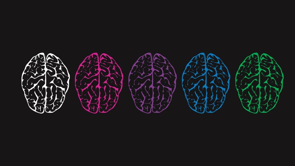 Do psychedelics trigger neurogenesis? Here’s what we know.