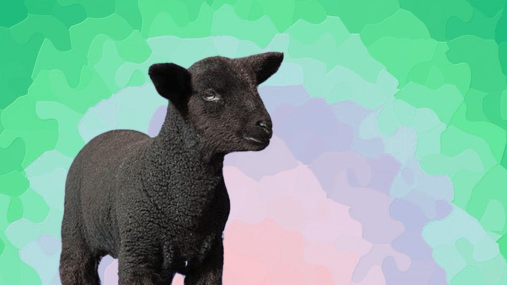Addicted to Weed: VolteFace Launches Black Sheep Report