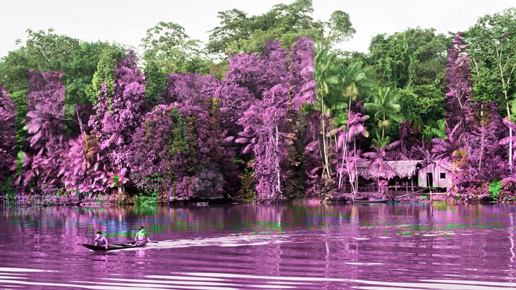 Globalhuasca: A Closer Look at the Global Ayahuasca Movement