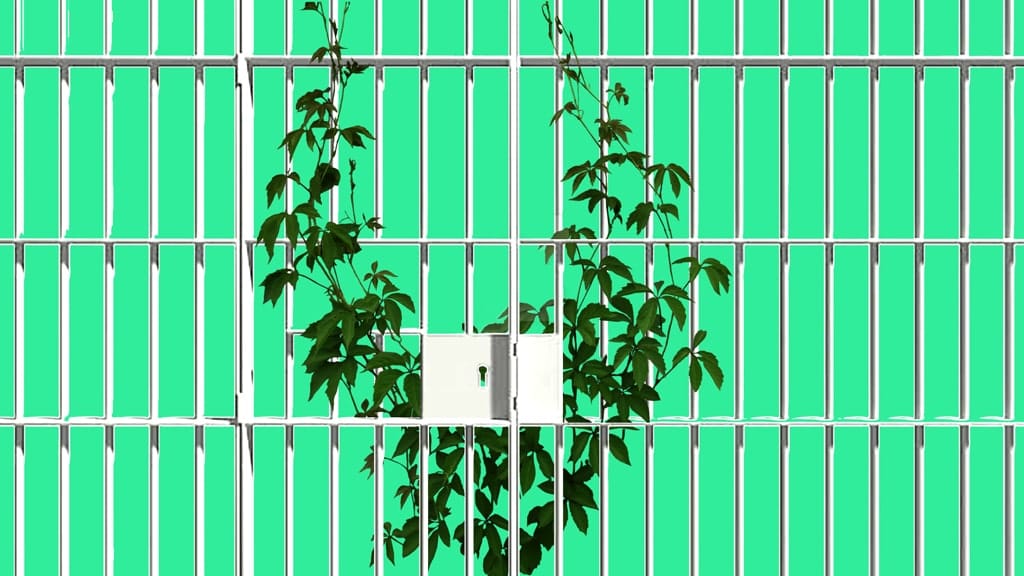 Psychedelic medicines can help heal the trauma of mass incarceration