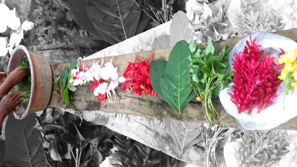I wanted ayahuasca to teach me how to love the world despite its violence, destruction, and greed
