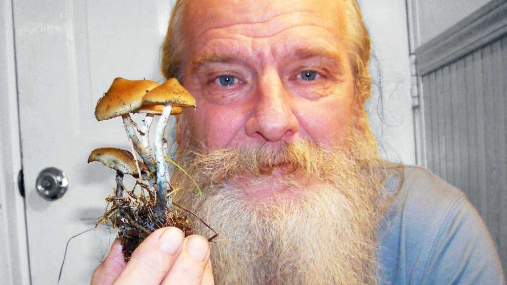 Washington Man Facing Prison After Foraging for Wild Mushrooms