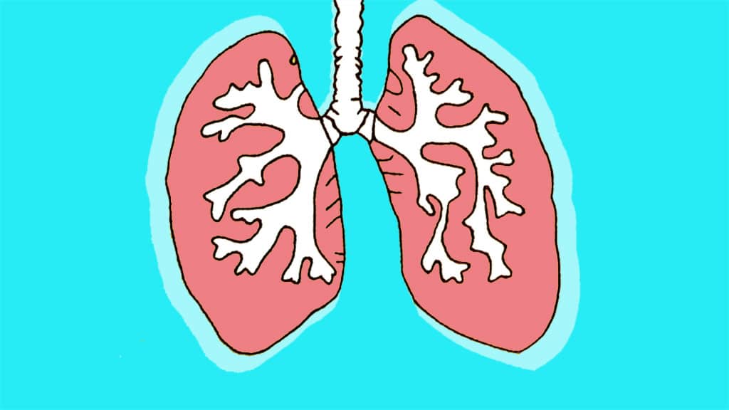 Breathe. Breathe. Breathe. An Interview with Iker Puente on Holotropic Breathwork