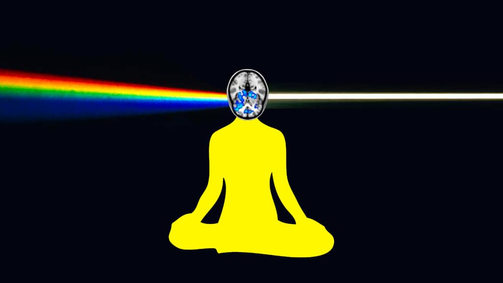 Johns Hopkins studying effects of psilocybin on brains of long-term meditators
