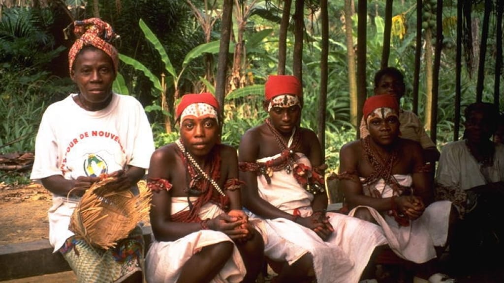 Taking Iboga with the People of Gabon | Part 2