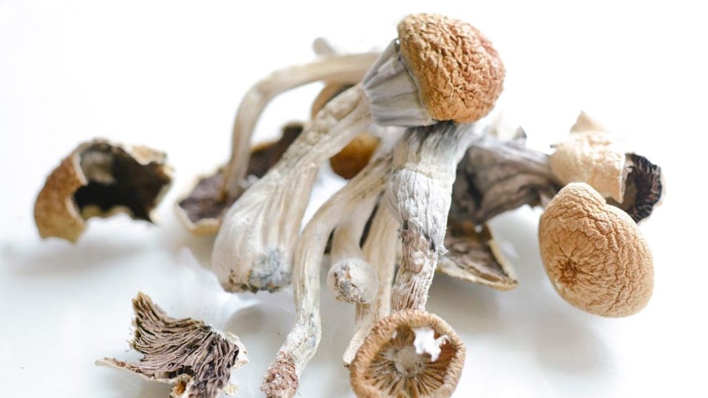 An open letter to the newly founded Center for Psychedelic Research at Johns Hopkins