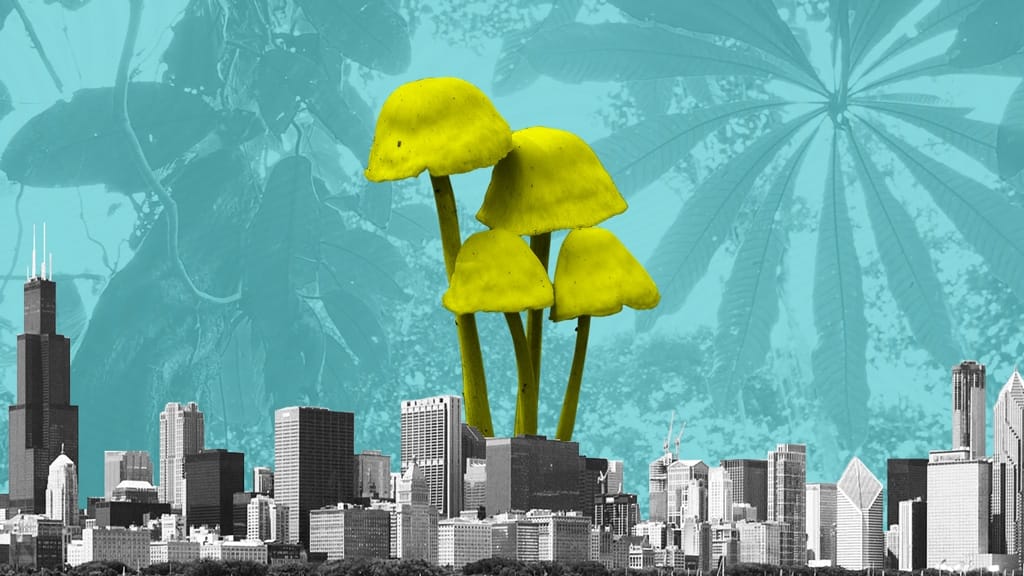 Chicago could become largest city to Decriminalize Entheogenic Plants