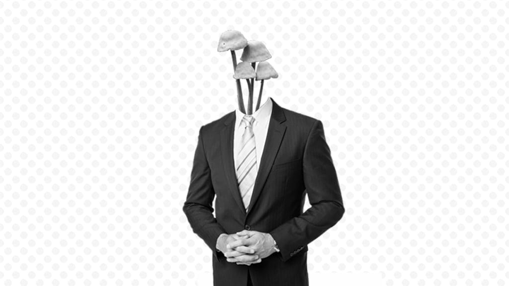 cor-por-ra-del-ic (adj): manifesting corporate structures, ethos, or logic within the context of the psychedelic landscape.