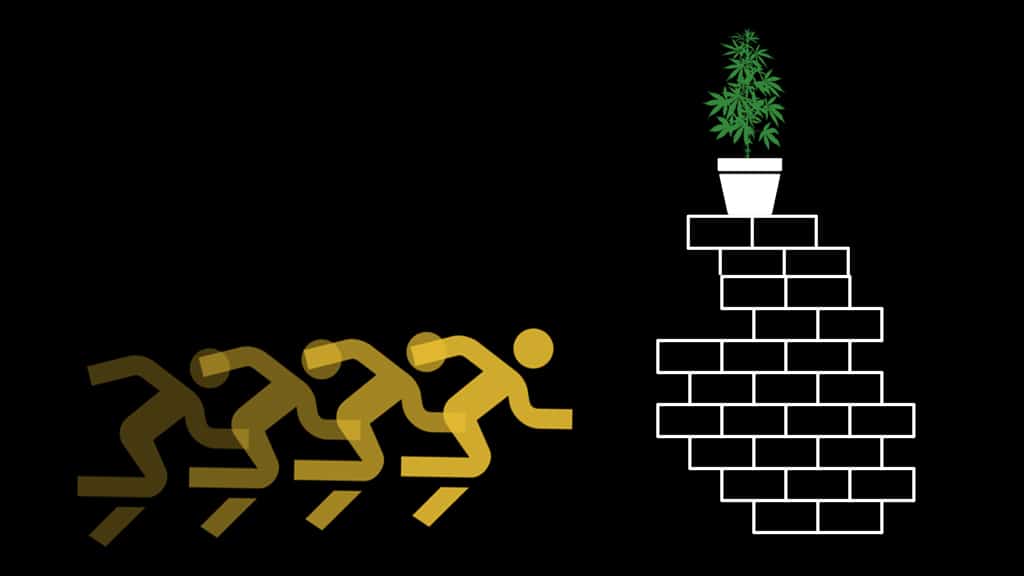 Half Baked Legalization Reflects Structural Inequalities of the System