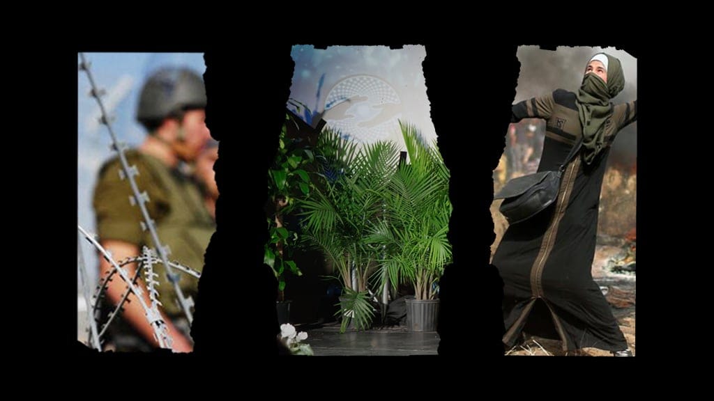 A Response to “Early Reflections on Interviews with Palestinians and Israelis Drinking Ayahuasca Together”