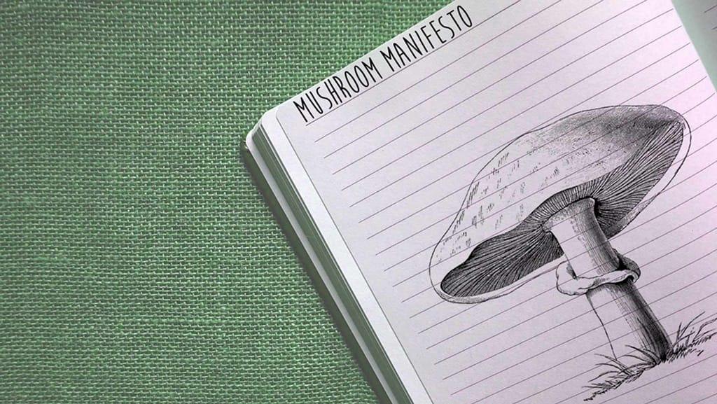 Psychedelic Stories: The Mushroom Manifesto