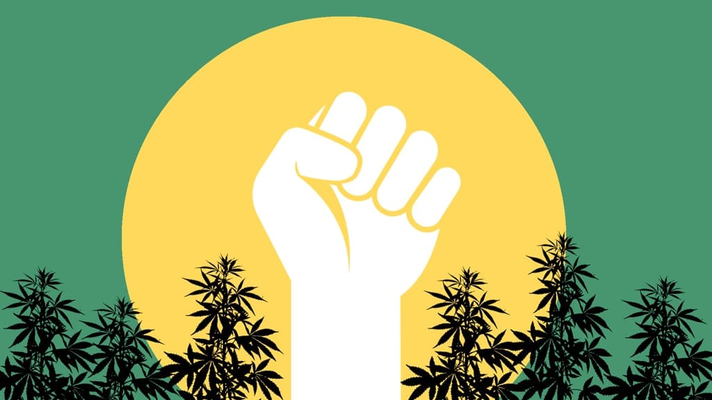 For college students, marijuana regulations cause confusion