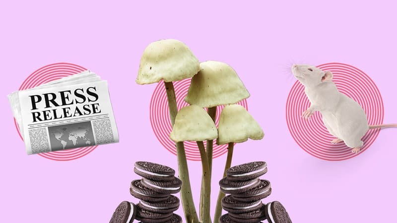 Psychedelic Media Should Stop Parroting Corporate Press Releases