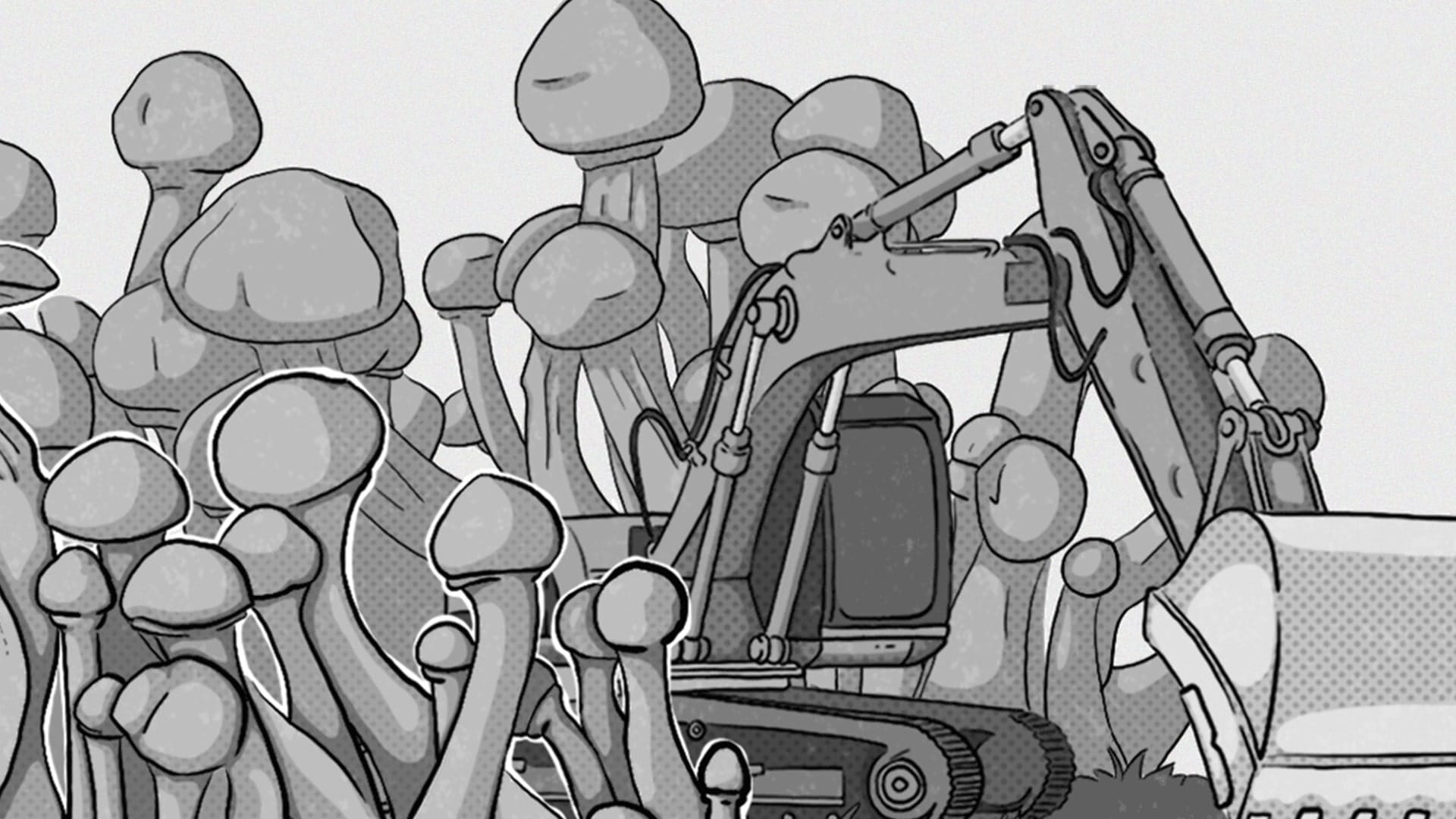 #24 – From Mining to Mushrooms