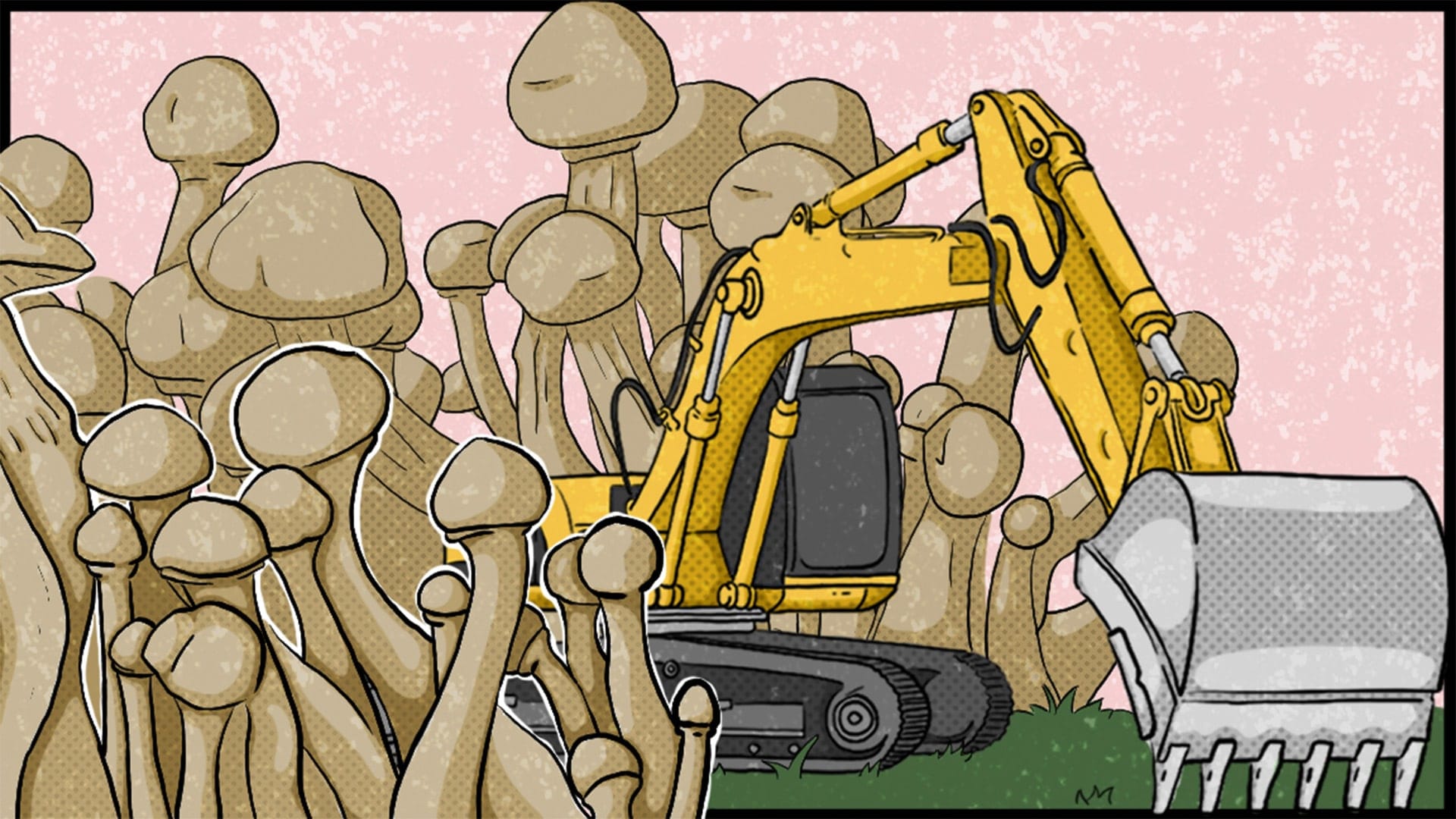 Why are so many extractive industry executives speculating on psychedelics?