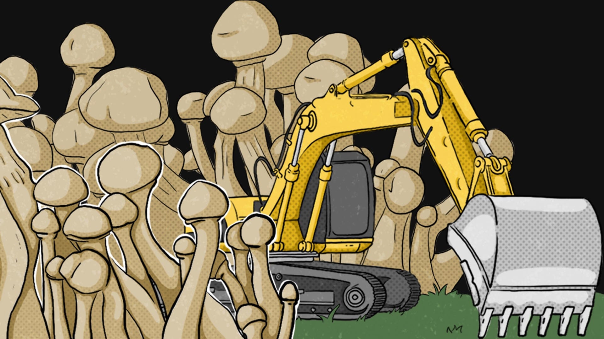 From Mining To Mushrooms