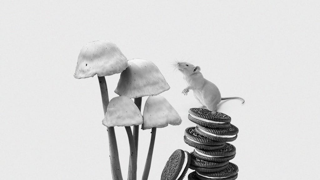 #25 – Press Release: Plus Three found to have neuroprotective effects against corporadelic BS