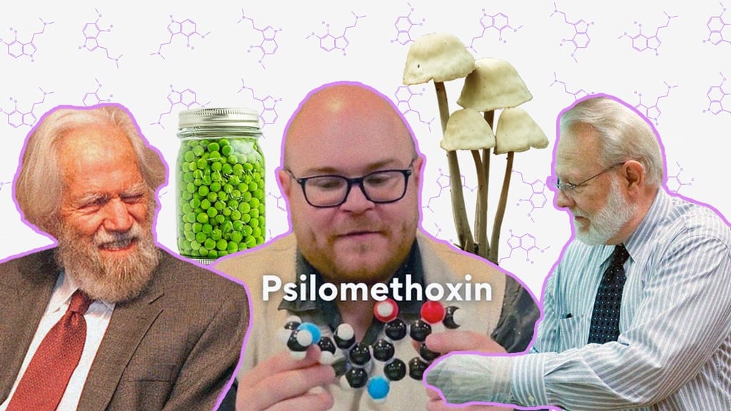 The Church of Psilomethoxin Part 2: Unraveling the Sacred Chemistry