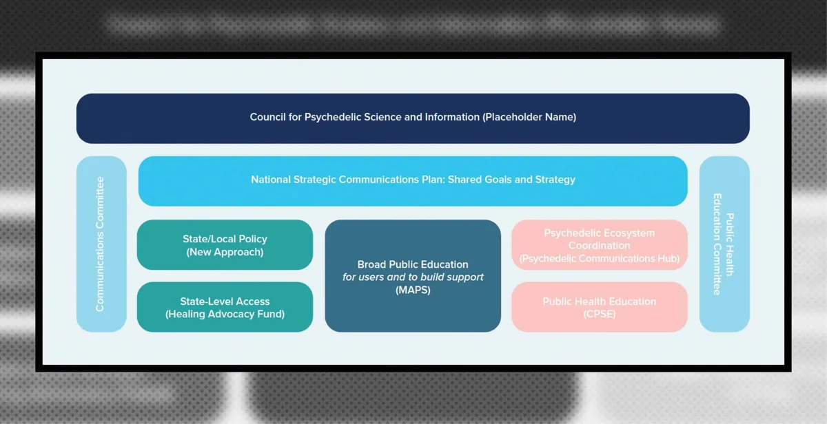 Org chart proposal: Council for Psychedelic Science and Information communications structure