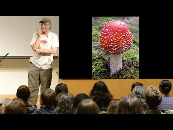 Lawrence Millman | Amanita muscaria & mushrooms of Siberia
