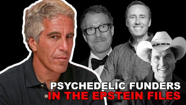 Psychedelic Funders in the Epstein Files
