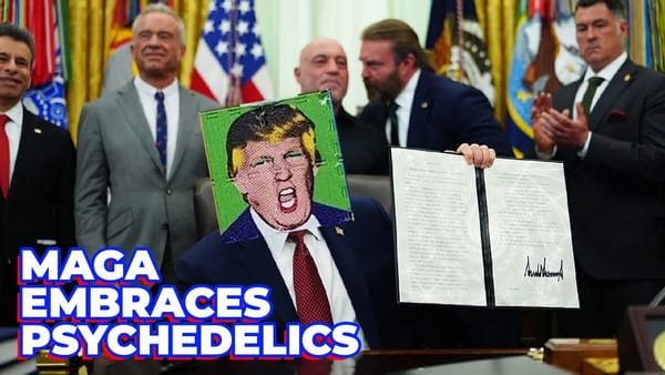 A Leftist Primer on the Right-Wing Psychedelic Takeover