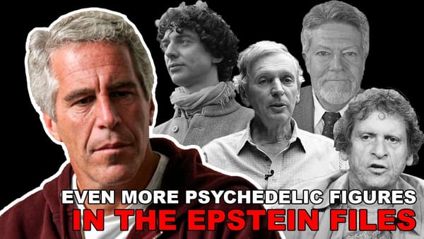 Even More Psychedelic Figures in the Epstein Files