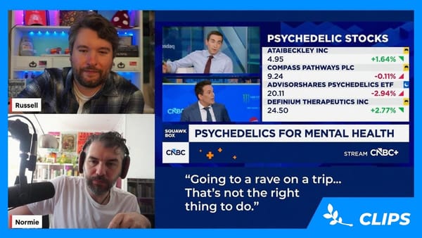 Psychedelic CEOs Want Nothing To Do With Recreational Drug Users