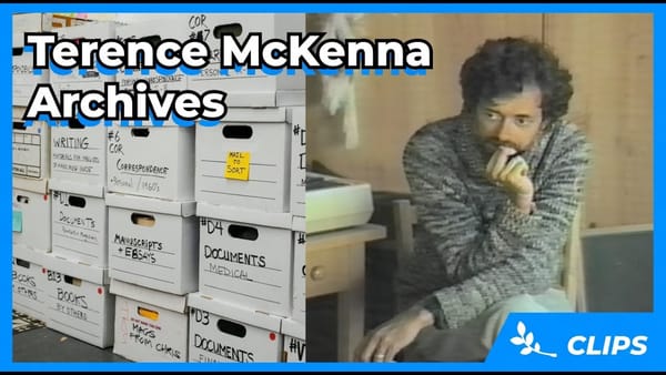 Inside Terence McKenna's Lost Archive