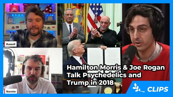 Joe Rogan and Hamilton Morris Appealed to Trump and Capitalism in 2018