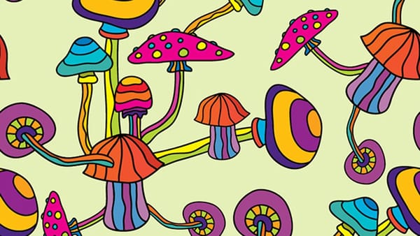 Patterning a World of Mushrooms: The Challenges of Co-Production