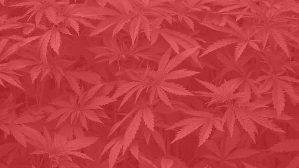 2016 Election: A State-By-State Cannabis Recap