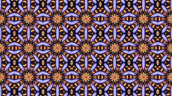 Psychedelics and Social Justice