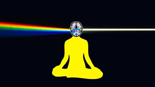 Johns Hopkins studying effects of psilocybin on brains of long-term meditators