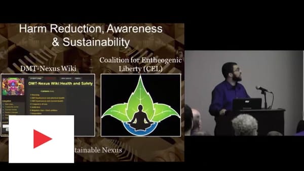 David Nickles – In Search of Entheogenic Molecules: Phytochemical Analysis from the DMT Nexus
