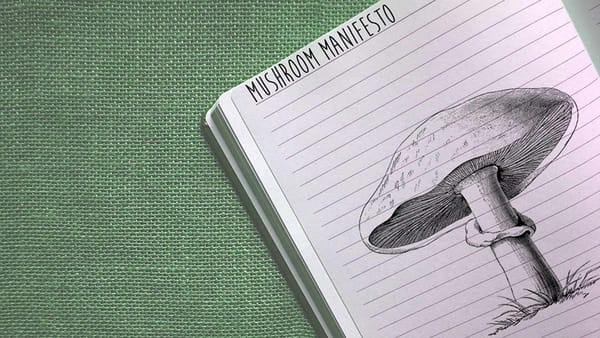 Psychedelic Stories: The Mushroom Manifesto