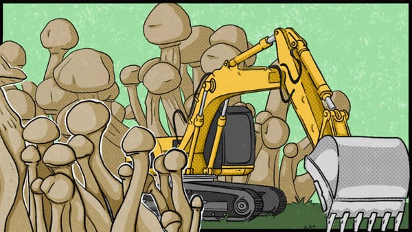 Illustration by Russell Hausfeld