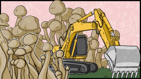 Illustration by Russell Hausfeld